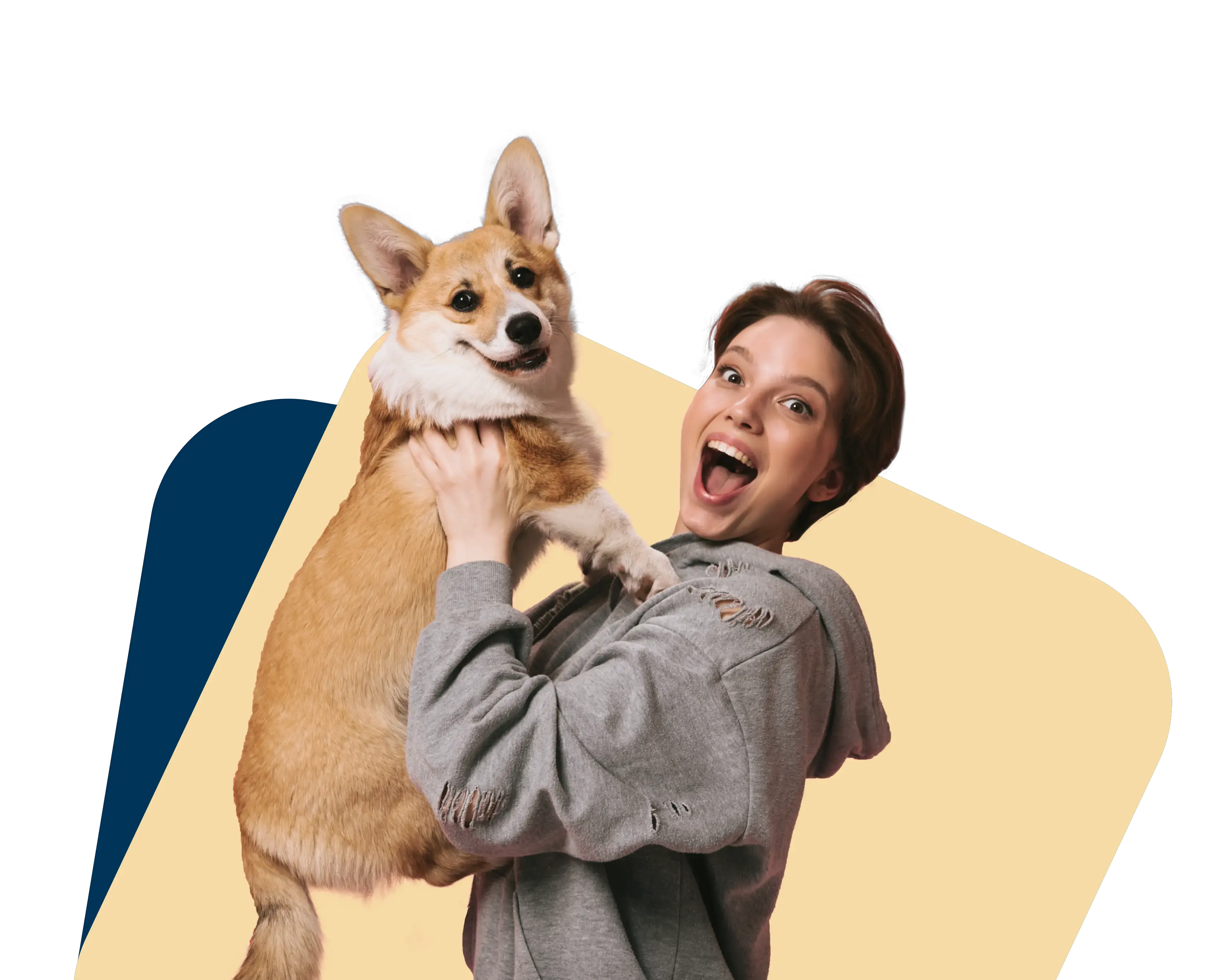home page banner